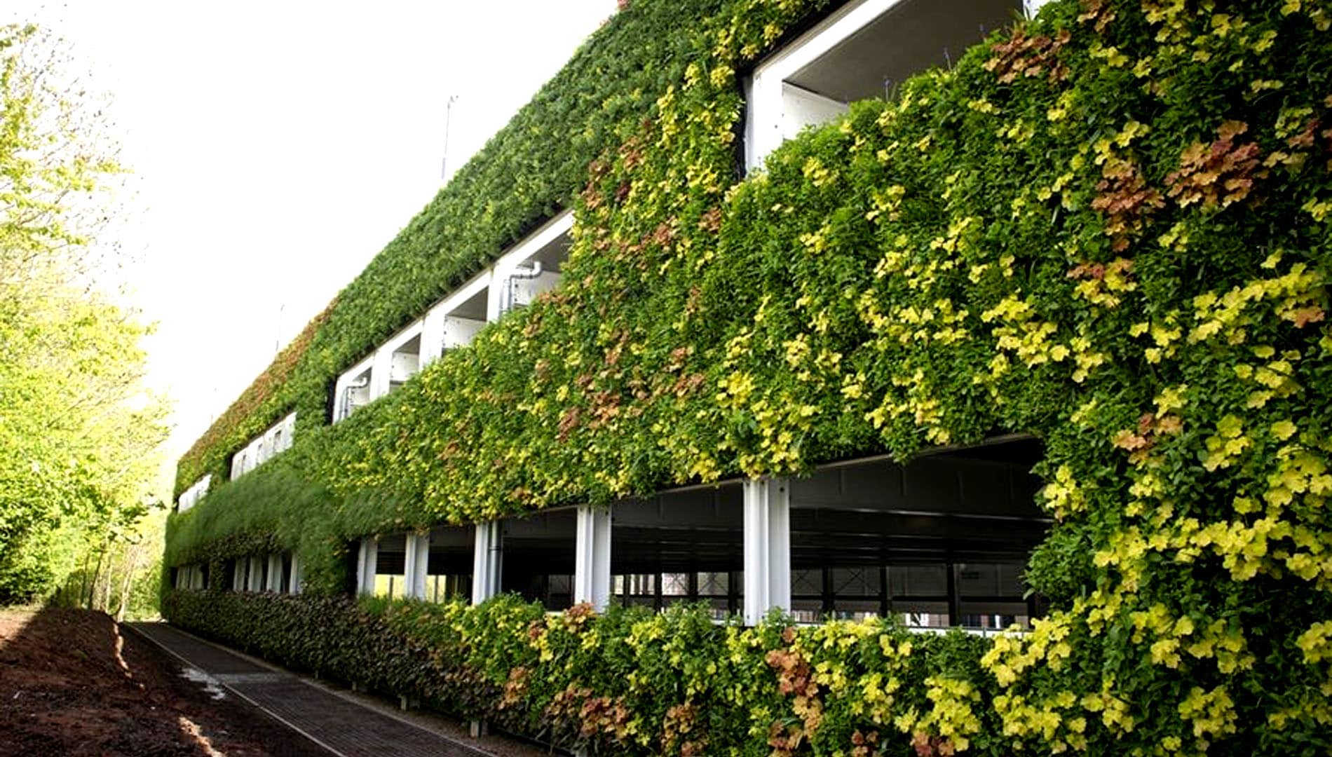 دیوار سبز عمودی در فضای ساختمان